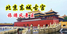 操美女的逼好紧黄色片中国北京-东城古宫旅游风景区